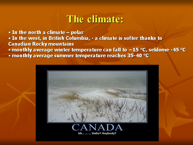 The climate:  In the north a climate – polar  In the west,